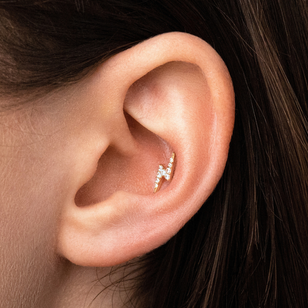 Conch jewelery: Trendy conch stud earrings - Stylish options at Lulu Ave Body Jewelery