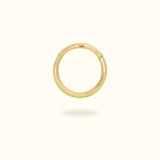 14k Hinged Ring - Lulu Ave Body Jewelery