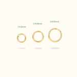 14k Hinged Ring - Lulu Ave Body Jewelery