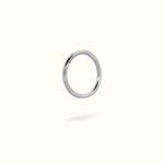 Titanium Hinged Ring - Lulu Ave Body Jewelery