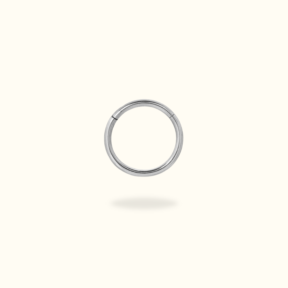 Titanium Hinged Ring - Lulu Ave Body Jewelery