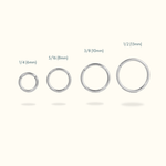 Titanium Hinged Ring - Lulu Ave Body Jewelery