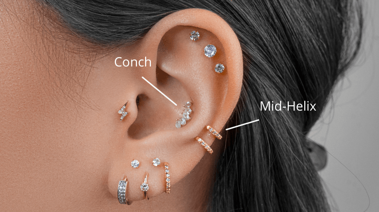 Conch VS Mid-Helix - Lulu Ave 