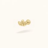 14K Bubble Marquise - Earrings - Lulu Ave Body Jewelery