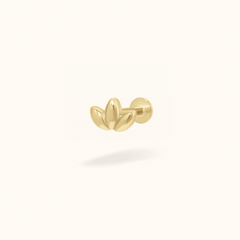 14K Bubble Marquise - Earrings - Lulu Ave Body Jewelry