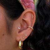 14K Four-Ball - Earrings - Lulu Ave Body Jewelery