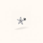 Titanium MARQUISE FLOWER - Earrings - Lulu Ave Body Jewelry