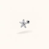 Titanium MARQUISE FLOWER - Earrings - Lulu Ave Body Jewelry