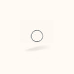 Titanium 16g Plain Hinged Ring - Hinged Ring - Lulu Ave Body Jewelery