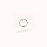 Titanium 16g Plain Hinged Ring - Hinged Ring - Lulu Ave Body Jewelery