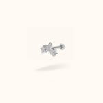 Titanium Star Cluster - Earrings - Lulu Ave Body Jewelery