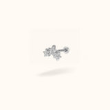 Titanium Star Cluster - Earrings - Lulu Ave Body Jewelery