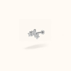 Titanium Star Cluster - Earrings - Lulu Ave Body Jewelery