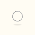 Titanium Crystal Hinged Ring - Lulu Ave Body Jewelery