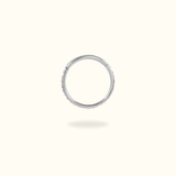 Titanium Crystal Hinged Ring - Lulu Ave Body Jewelery