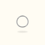 Titanium Hinged Ring - Lulu Ave Body Jewelery