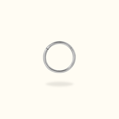 Titanium Hinged Ring - Lulu Ave Body Jewelery